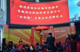 首批武漢股權托管交易中心“科技板”掛牌企業(yè)
